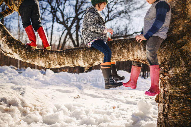 Trois enfants grimpent à un arbre dans la neige, États-Unis — Photo de stock