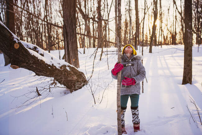 Mädchen steht im Wald mit einem Baumstamm und schaut auf, Vereinigte Staaten — Stockfoto
