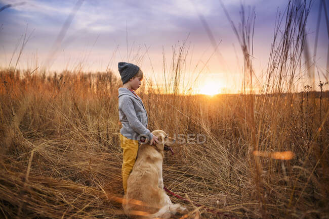 Мальчик, стоящий в поле со своей золотой собакой-ретривером, США — стоковое фото