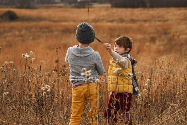 Deux garçons jouent avec de l'herbe longue dans un champ, États-Unis — Photo de stock