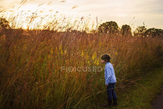 Retrato de um menino de pé em um campo ao pôr-do-sol, Estados Unidos — Fotografia de Stock