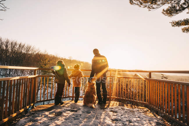 Pai, dois filhos e um cão a olhar para a vista, Estados Unidos — Fotografia de Stock