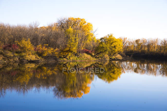 Scenic view of treelined lake reflections, Japan — Stock Photo