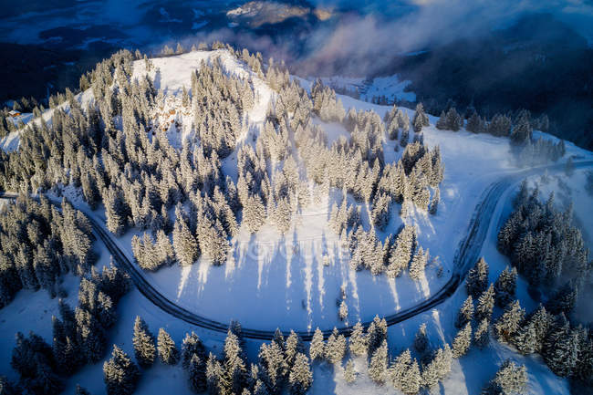 Vista aérea sobre uma estrada que atravessa árvores cobertas de neve, Altenmarkt, Salzburgo, Áustria — Fotografia de Stock