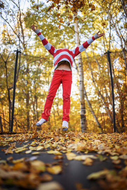 Garçon sautant sur un trampoline couvert de feuilles d'automne, États-Unis — Photo de stock