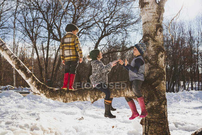 Drei Kinder klettern auf einen Baum im Schnee, USA — Stockfoto
