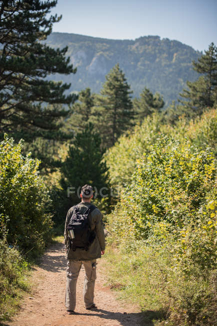 Hombre caminando por el bosque, Bosnia y Herzegovina - foto de stock