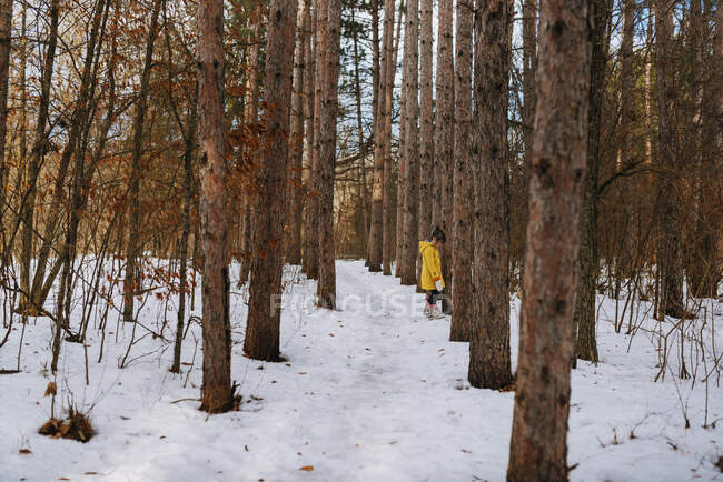 Ragazza che cammina nel bosco, Stati Uniti — Foto stock