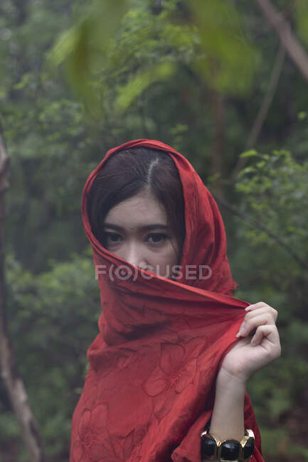 Портрет дівчини, яка закриває обличчя своїм худим шарфом (США). — стокове фото