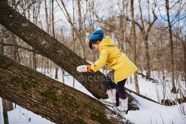 Mädchen klettert auf umgestürzten Baum, Vereinigte Staaten — Stockfoto