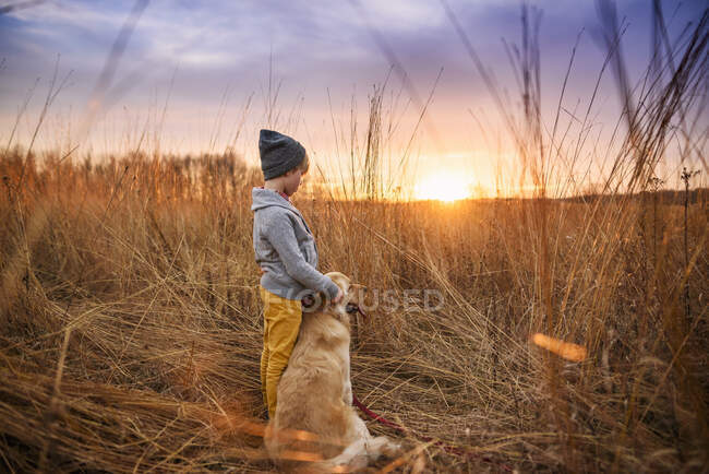 Boy standing in a field with his golden retriever dog, United States - foto de stock