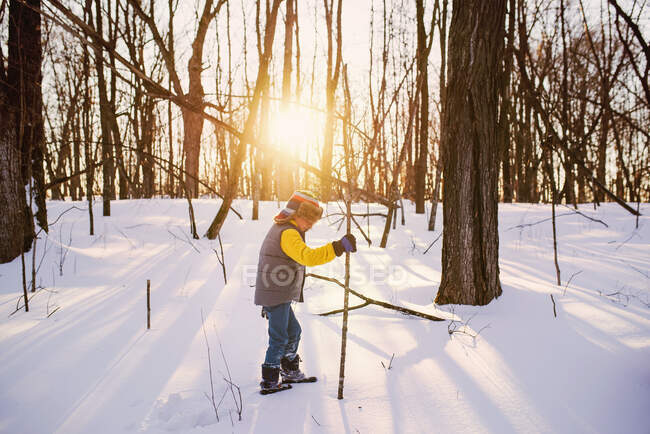 Garçon randonnée à travers la forêt dans la neige, États-Unis — Photo de stock