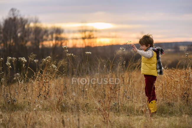Улыбающийся мальчик, стоящий в поле, сша — стоковое фото