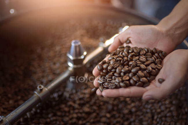 Close-up of a woman hands holding roasted coffee beans — Stock Photo