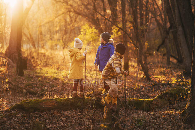 Tre bambini che camminano nel bosco in autunno, Stati Uniti — Foto stock
