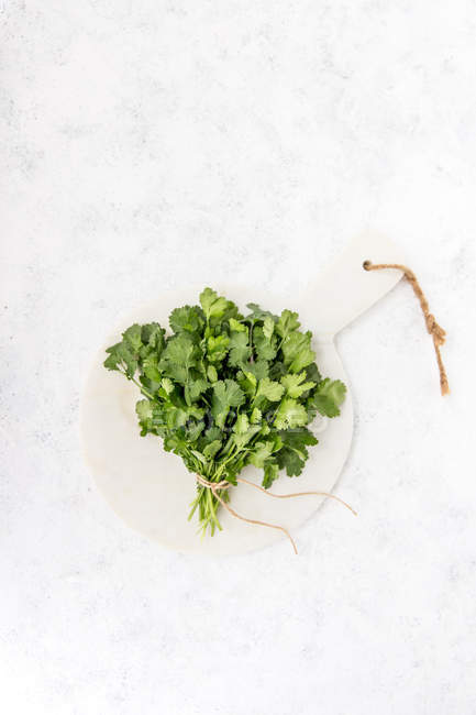 Closeup view of Coriander on a chopping board — Stock Photo