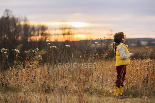 Boy standing in a field looking up at the sky, United States - foto de stock