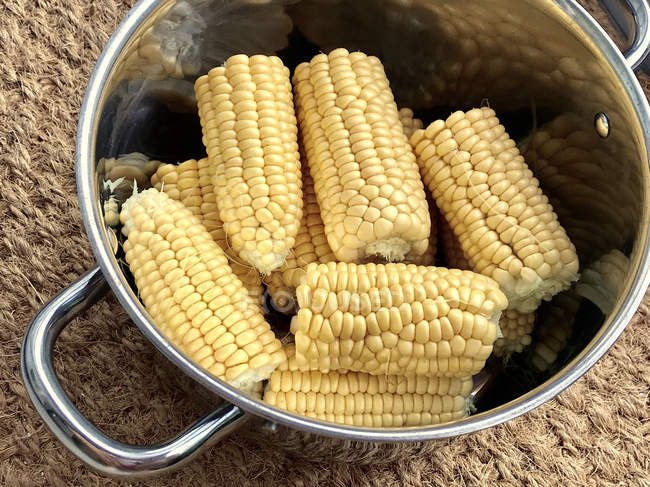 Corn cobs in a saucepan, closeup view — Stock Photo