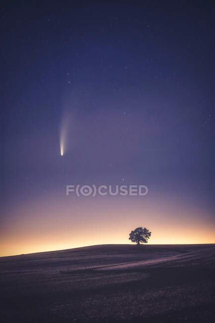 Komet Neowise über ländlicher Landschaft bei Nacht, Warwickshire, England, UK — Stockfoto