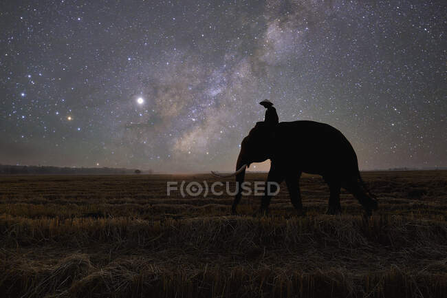 Silhouette of mahout riding an elephant in rural landscape at night, Thailand — Stock Photo