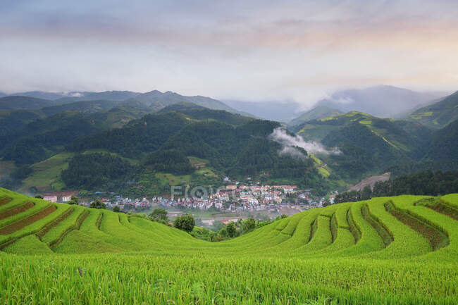 Hermoso paisaje del valle de la isla de lo sagrado del destino turístico más famoso de Vietnam - foto de stock