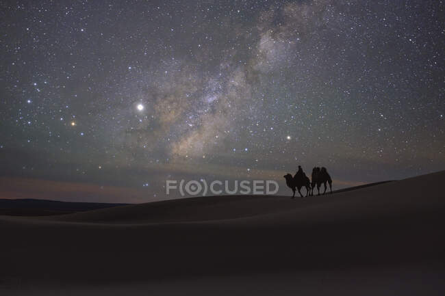 Силуэт человека верхом на верблюде с другим на буксире ночью в пустыне, Монголия — стоковое фото