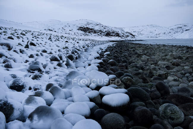 Замерзшее каменистое побережье зимой, Мурманск, Россия — стоковое фото