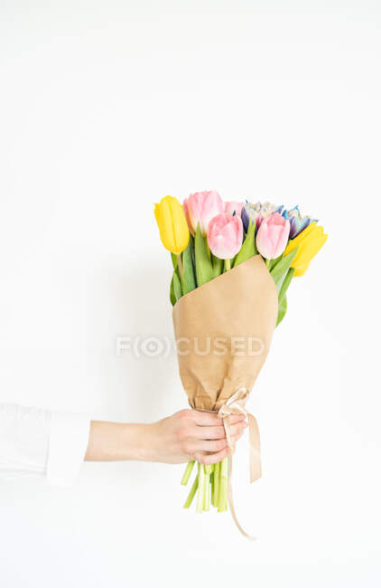 Woman's hand holding a bunch of multi coloured tulips — Stock Photo