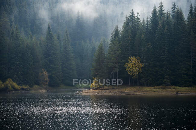 Foggy paysage de montagne en automne, Bulgarie — Photo de stock