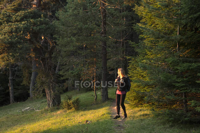 Woman walking in sunlit forest landscape, Bulgaria — Stock Photo