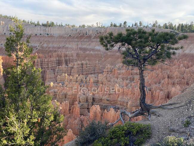 Parc national de Bryce Canyon paysage, Utah, États-Unis — Photo de stock