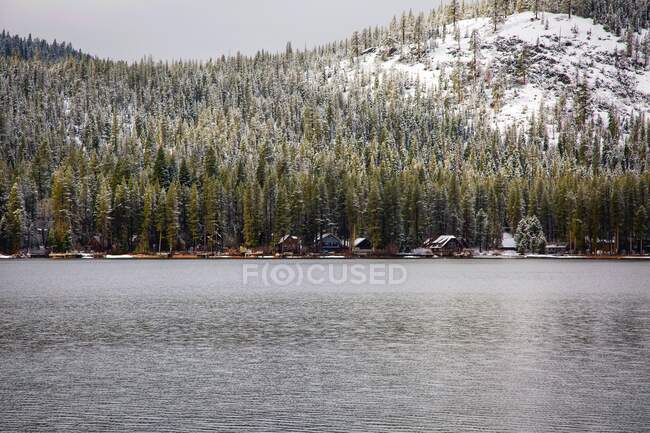 Сніг вкритий вічнозеленими деревами і хатинами вздовж берегової лінії озера Тахо (штат Каліфорнія, США). — стокове фото