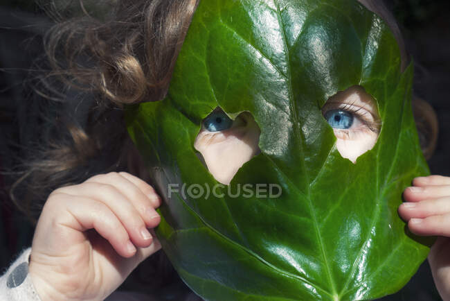 Портрет девушки, смотрящей сквозь лист, Италия — стоковое фото