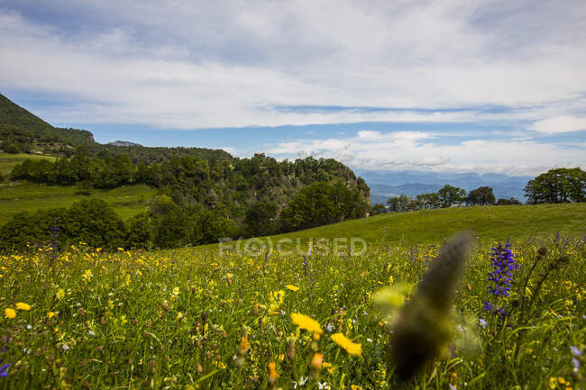 Bela paisagem com uma montanha no fundo — Fotografia de Stock