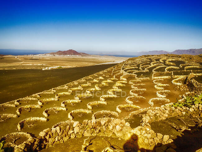 Hermoso paisaje del desierto de Néguev en Israel - foto de stock