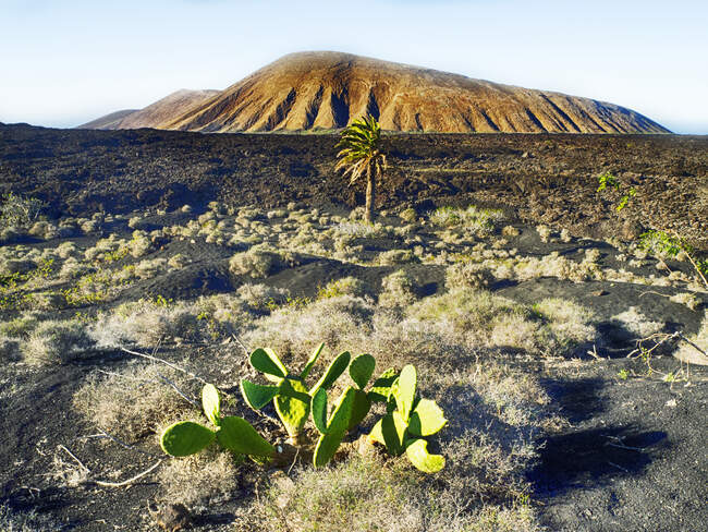 Lanzarote, canary islands, spain-the picturesque landscape of the island of the state of the new year — Stock Photo