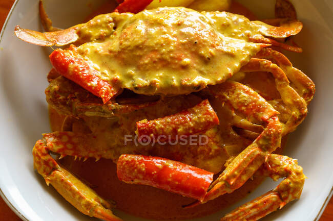 Vista aérea de un plato de cangrejo con salsa de curry - foto de stock