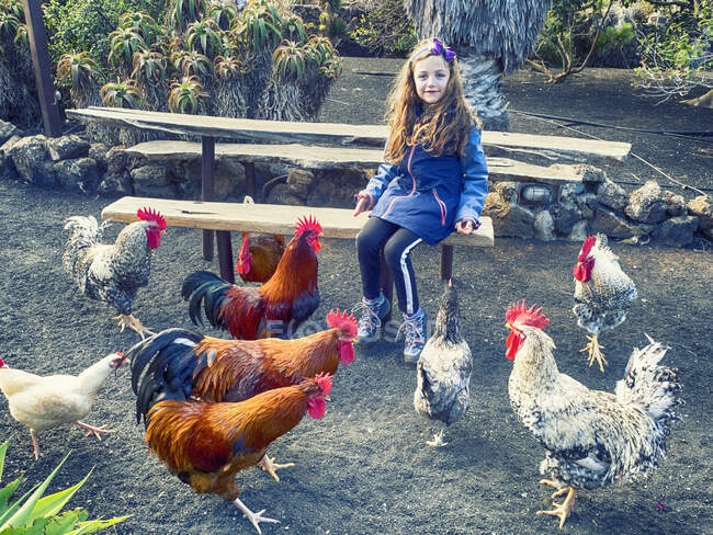 Smiling girl sitting on a bench feeding a group of roosters and a hen, Lanzarote, Canary Islands, Spain — Stock Photo