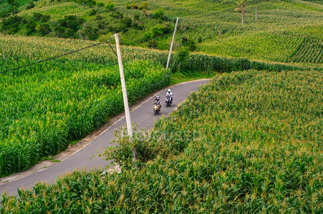 Два мотоцикліста з пілоном, пасажири їдуть по дорозі через кукурудзяні поля, Мандаліка, Ломбок, Індонезія. — стокове фото