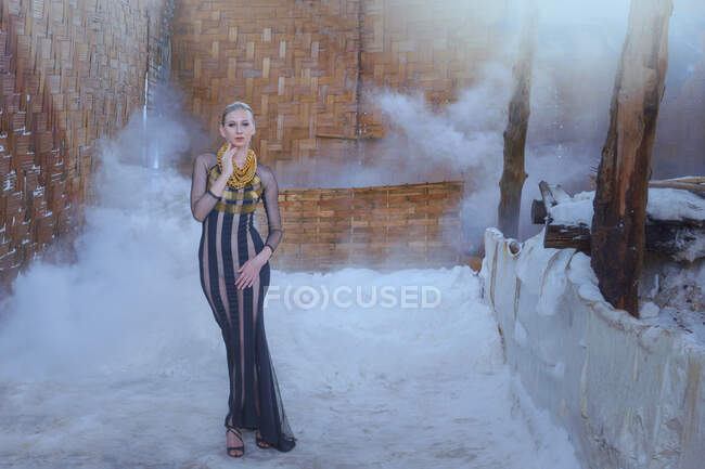 Porträt einer schönen Frau in einem langen Kleid, die draußen im Schnee steht, Thailand — Stockfoto