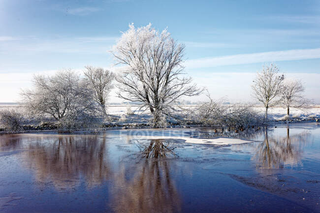 Matin glacé le long de la rivière Ems, Frise orientale, Basse-Saxe, Allemagne — Photo de stock