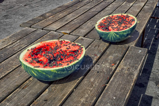 Abejas en dos sandías a la mitad sobre una mesa de madera, Hungría - foto de stock