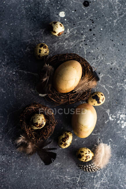 Quail eggs in nest on a dark background — Stock Photo