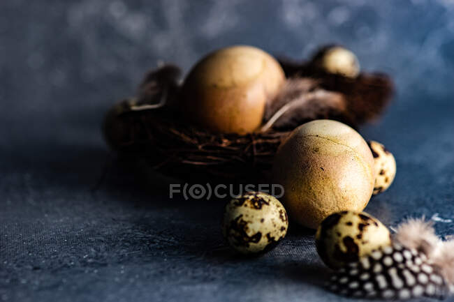 Uova di quaglia in un nido su uno sfondo scuro. concetto pasquale. — Foto stock