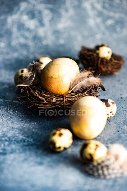 Пасхальні яєчні прикраси з пір'ям у пташиних гніздах — стокове фото