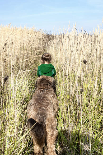 Vista trasera de una niña caminando a través de la hierba larga con su perro, Polonia - foto de stock