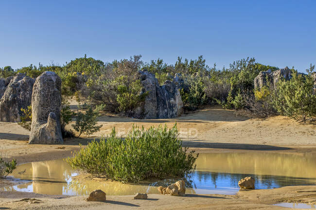 As reflexões Pinnacles em uma lagoa, Nambung National Park, Austrália Ocidental, Austrália — Fotografia de Stock