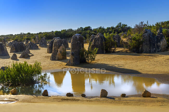 As reflexões Pinnacles em uma lagoa, Nambung National Park, Austrália Ocidental, Austrália — Fotografia de Stock