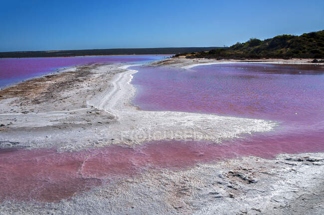 Hutt Lagoon, Westaustralien, Australien — Stockfoto