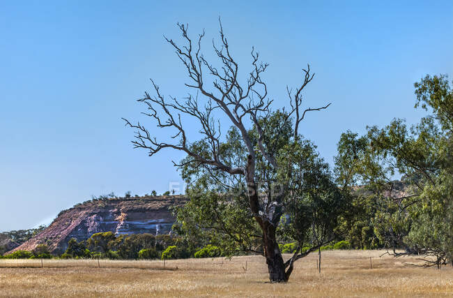 Paisaje rural, Coalseam Conservation Park, Western Australia, Australia - foto de stock